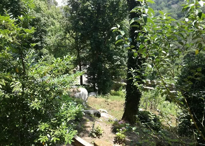 Casa Do Facho Casa vacanze São Martinho do Porto